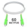 60m_nologo